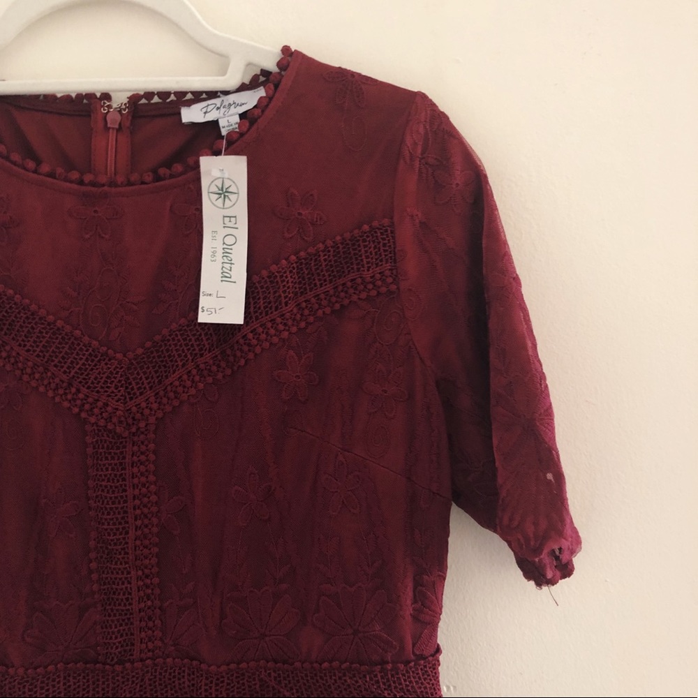 Embroidered Lace Dress 🍷